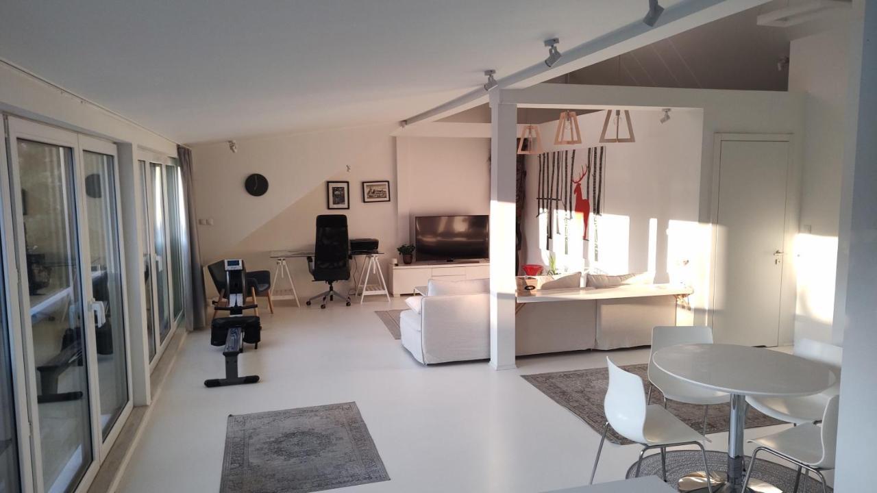 Loft 85 M2 Wilanow Krolewski Self Checkin Varsó Kültér fotó